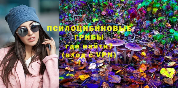 марки lsd Бугульма