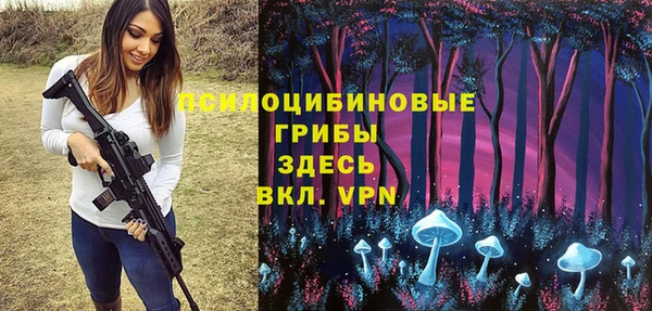 марки lsd Бугульма